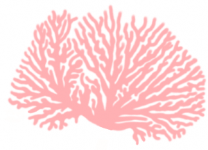 Dessin de corail par kitkatkunst